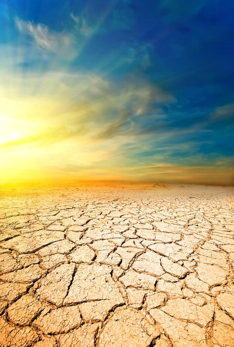 Poster Eine Wüste aus rissiger Erde