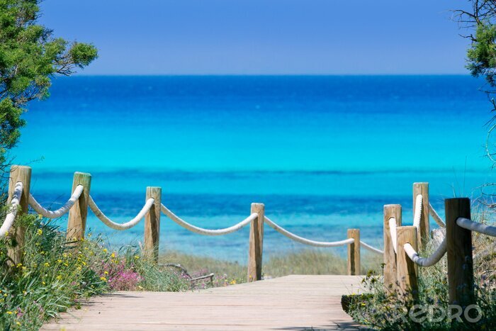 Poster Eingang zum Strand und Meeresansicht