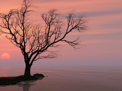 Einsamer Baum im Hintergrund eines Sees