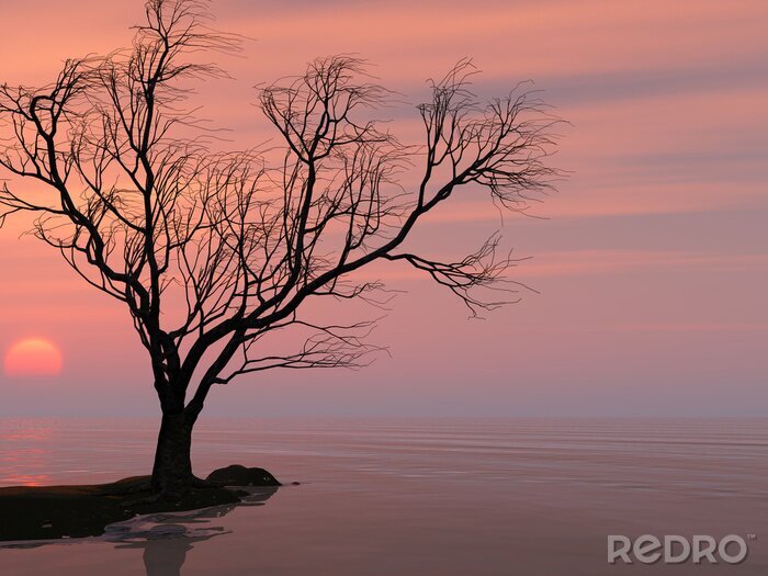 Poster Einsamer Baum im Hintergrund eines Sees