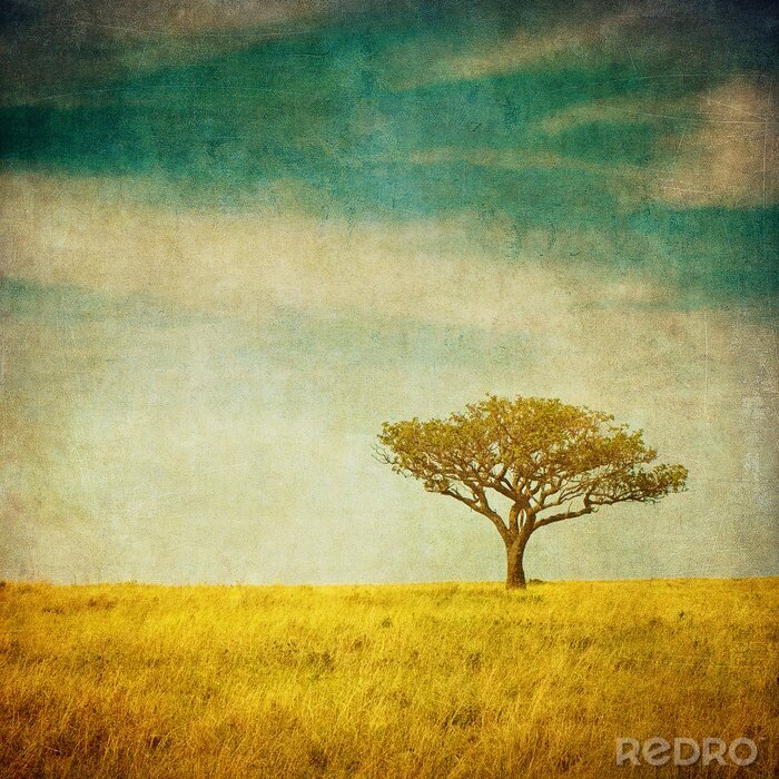 Poster Einsamer Baum in einer Retro-Fotografie