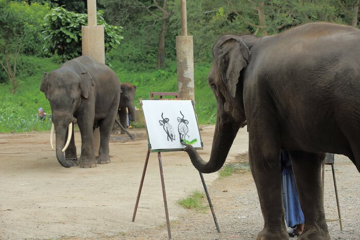 Poster Elefant beim Malen