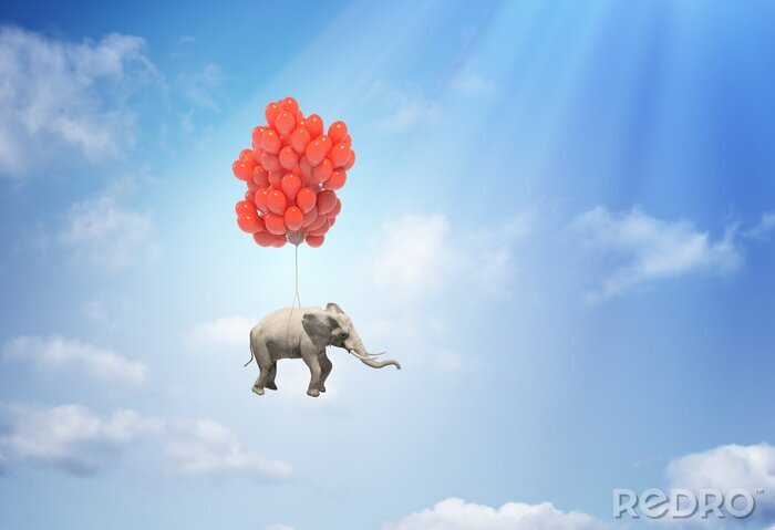 Poster Elefant mit Luftballons