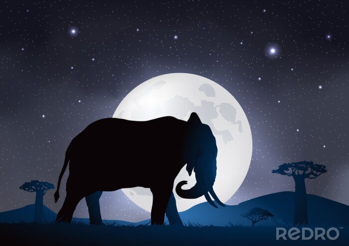 Poster Elefant mit Mond und Sternen im Hintergrund