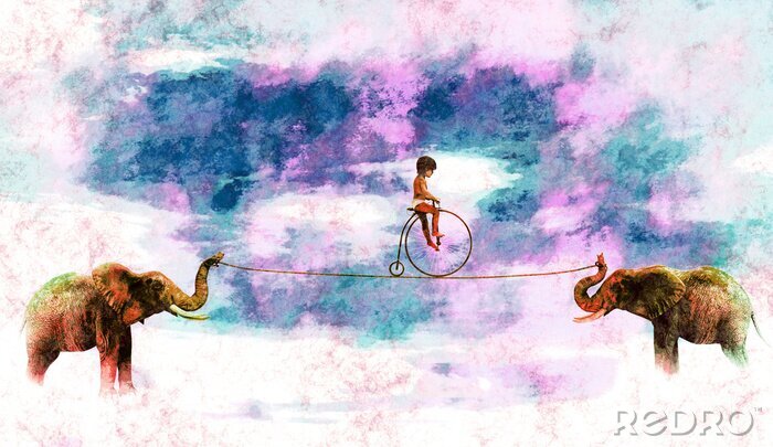Poster Junge mit einem Fahrrad auf einem Seil und zwei Elefanten 