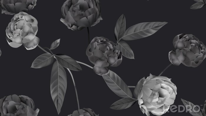 Poster Elegantes Muster aus grauen Rosen