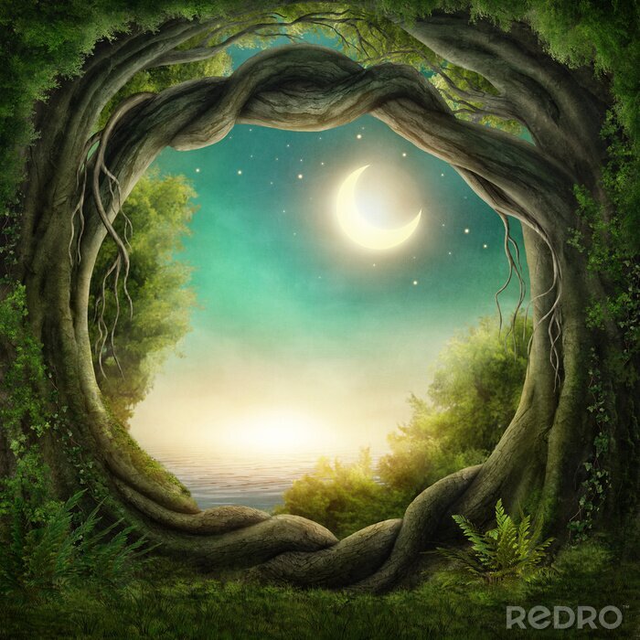 Poster Enchanted dunklen Wald