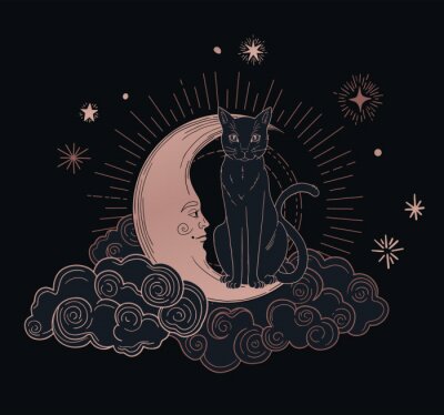 Poster Esoterische Katze auf dem Mond