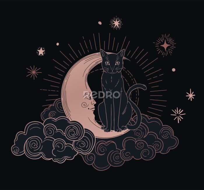 Poster Esoterische Katze auf dem Mond