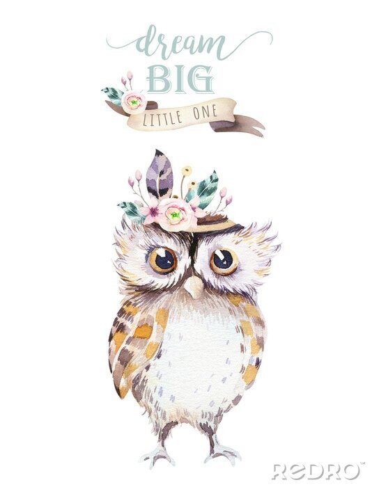 Poster Eule mit Feder