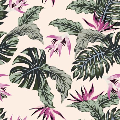 Exotische Blätter mit rosa Blütenstand