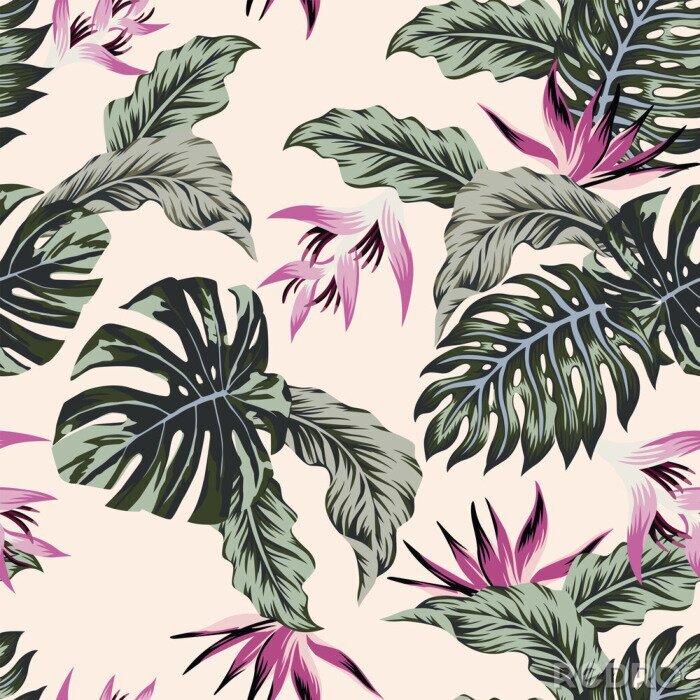 Poster Exotische Blätter mit rosa Blütenstand