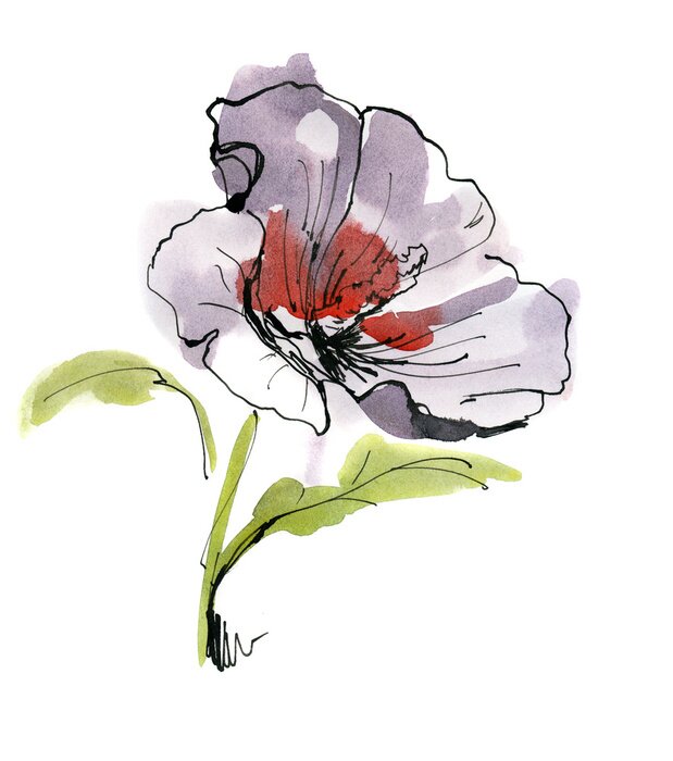 Poster Exotische Blume auf Aquarell