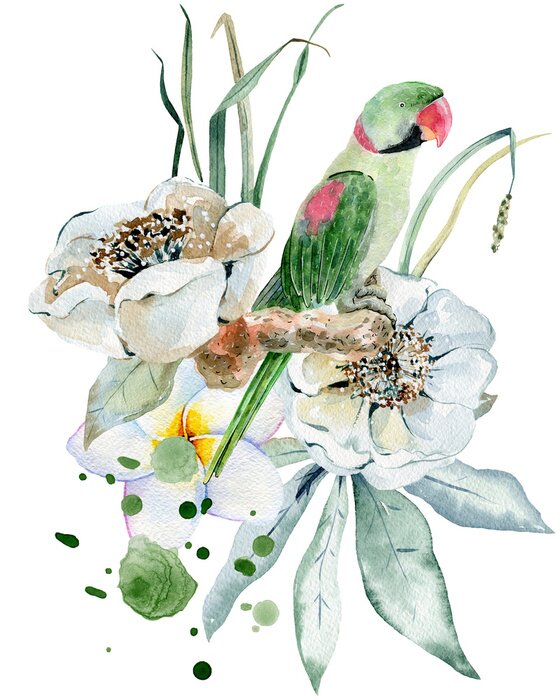 Poster Exotische Illustration im Aquarellstil