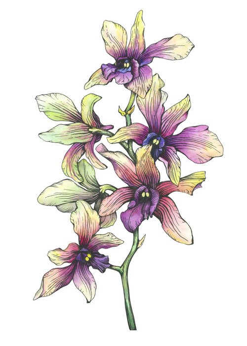 Poster Exotische Orchidee mit violetten Mitten