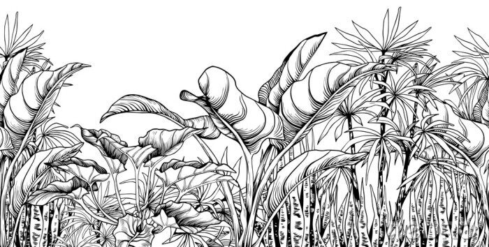 Poster Exotische Pflanzen in Schwarz und Weiß