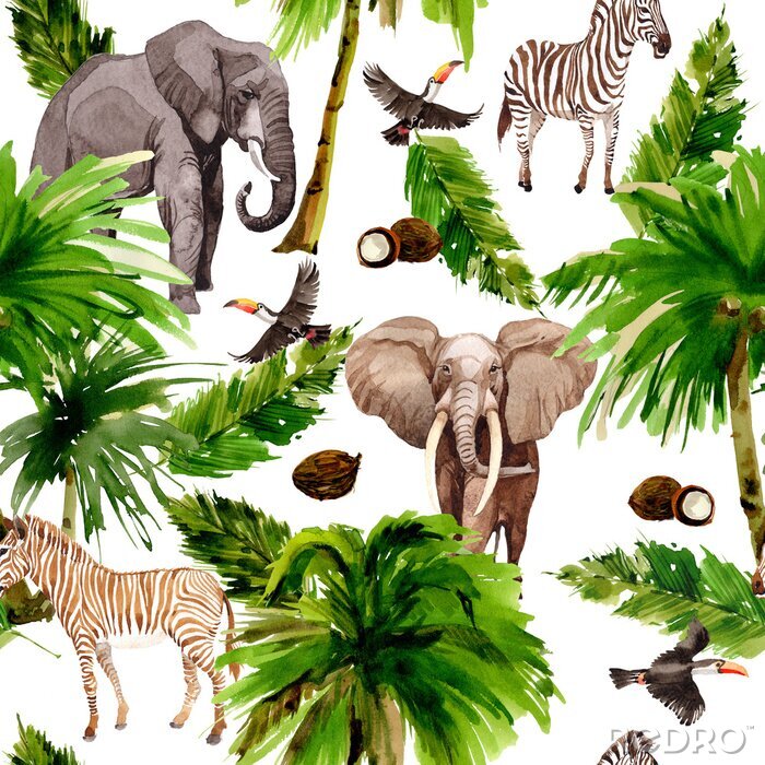 Poster Exotische Tiere auf weißem Hintergrund