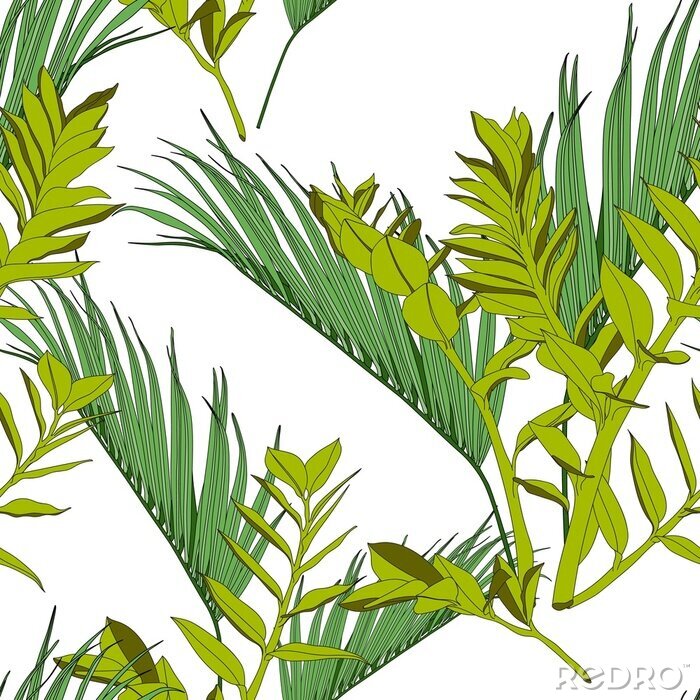 Poster Exotische tropische und Palmblätter, weißer Hintergrund. Nahtloses Blumenmuster