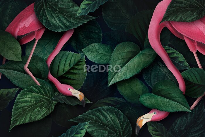 Poster Exotische Vögel inmitten von grünen Blättern