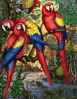 Poster Exotische Vögel Papageien