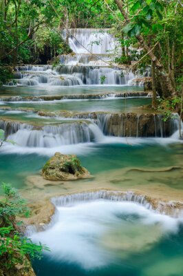 Exotische Wälder mit Wasserfällen