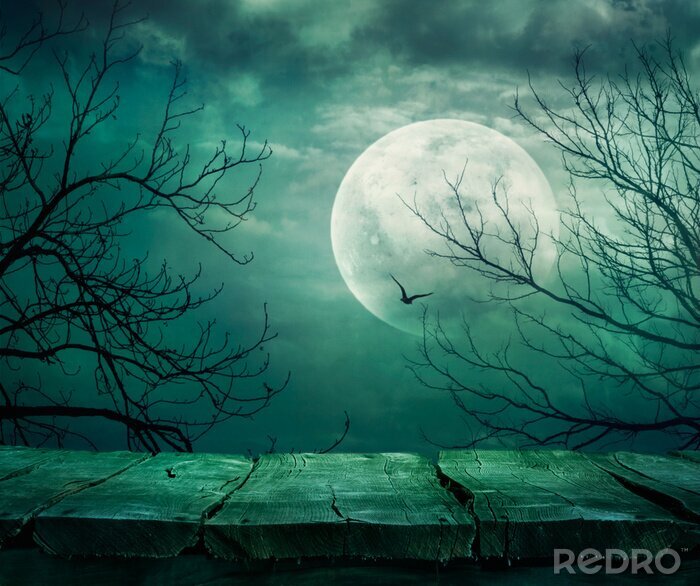 Poster Fantasy Landschaft mit dem Mond