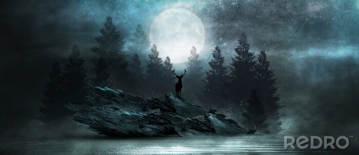 Poster Fantasy Wald bei Nacht