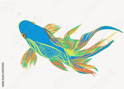 Poster Farbenfrohe Koi-Karpfen