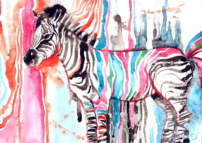 Poster Farbiges Zebra Streifen