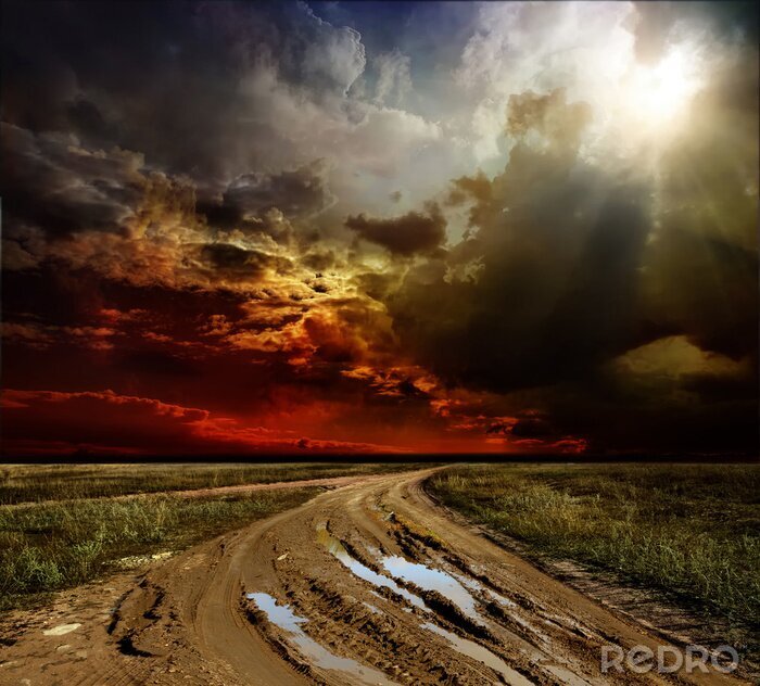 Poster Feld und gefährlicher Himmel