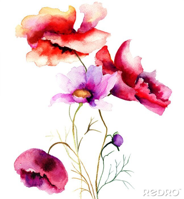 Poster Feldblumen in Aquarell