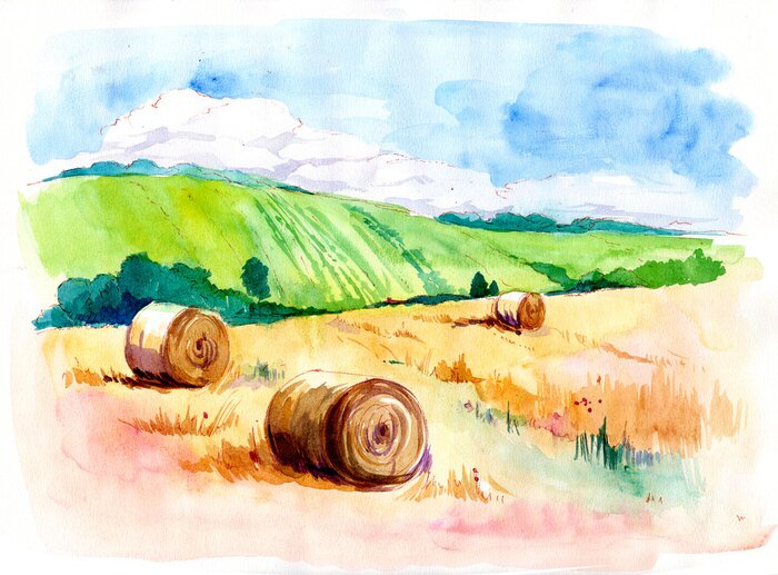 Poster Felder der Toskana auf Aquarelldarstellung