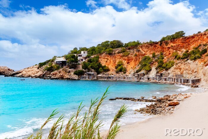 Poster Felsige Küste auf Ibiza