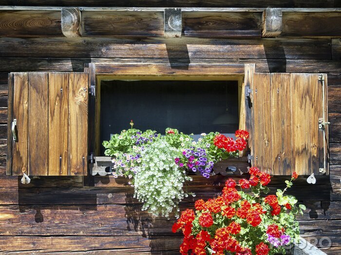 Poster Fenster in holz mit blumen