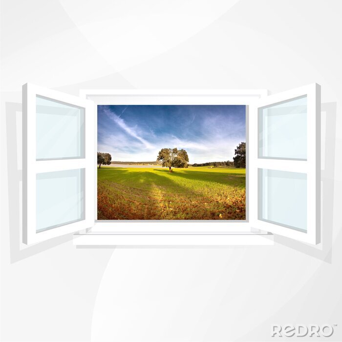 Poster Fenster mit ausblick auf feld