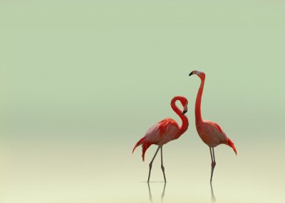 Poster Flamingos auf neutralem Hintergrund