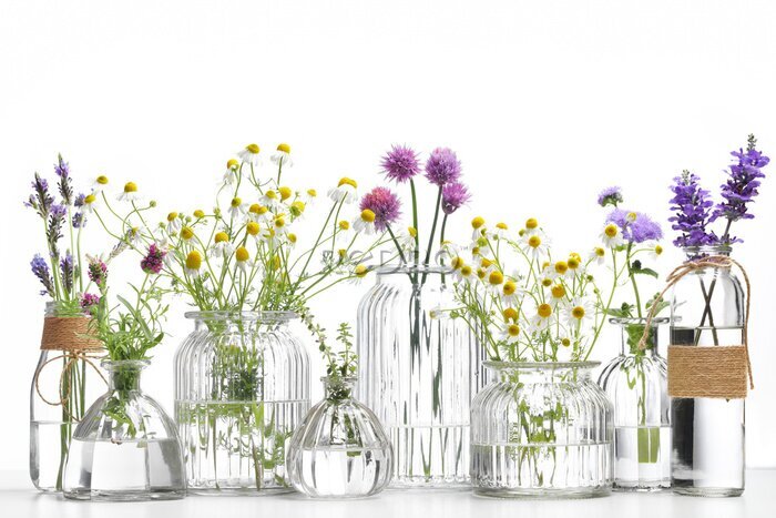 Poster Flasche ätherisches Öl mit Kräutern