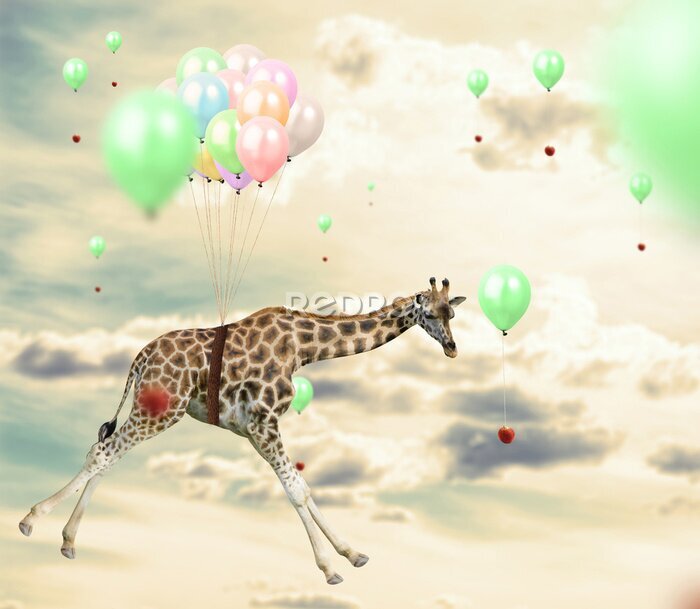Poster Fliegende Giraffe inmitten von bunten Luftballons