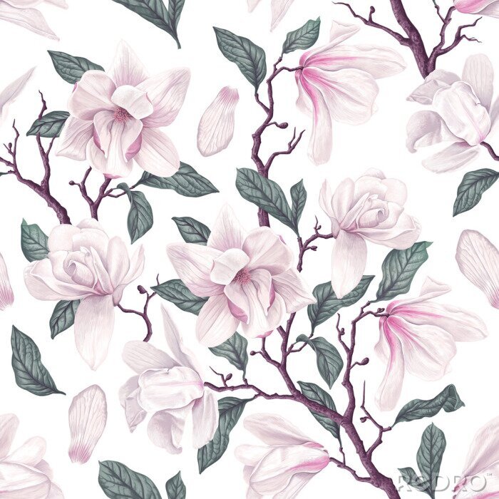 Poster Floral seamless pattern with white Anise magnolia flowers, leaves and petals on white background. Pastel vintage theme with realistic, vector, spring flowers for fabric, prints, greeting cards.