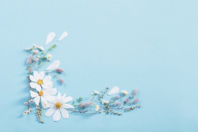 Florale Komposition aus Gänseblümchen