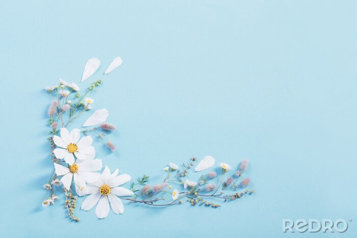 Poster Florale Komposition aus Gänseblümchen
