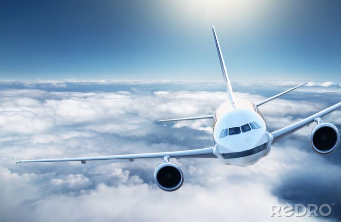 Poster Flugzeug am Himmel 3D