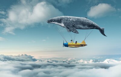 Poster Flugzeug hängt an einem Wal