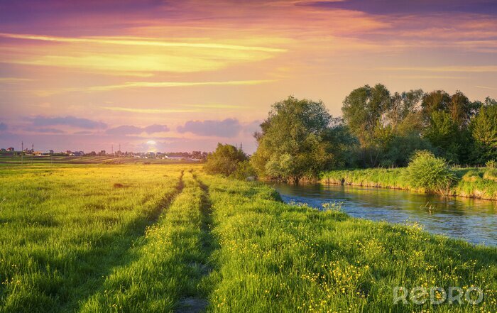 Poster Fluss Felder und rosa Himmel