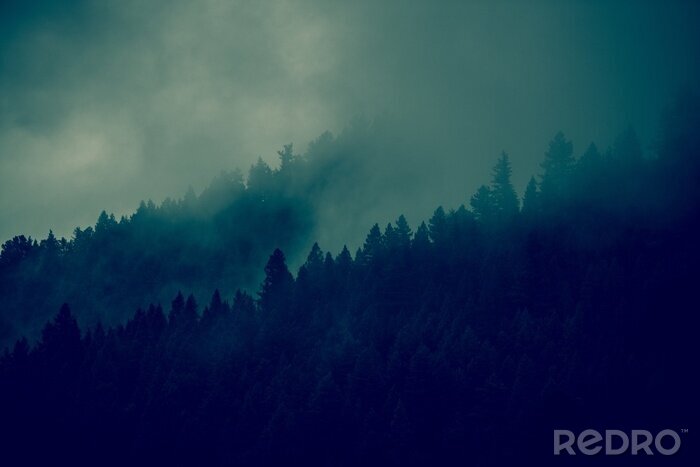 Poster Foggy Wald Hintergrund