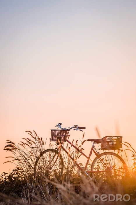 Poster Foto eines Fahrrades vor dem Hintergrund des Himmels