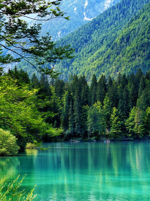 Poster Foto eines Waldes am Wasser