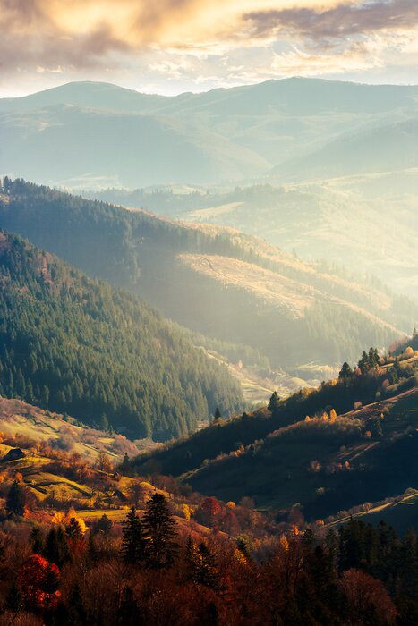 Poster Foto von Herbstwäldern