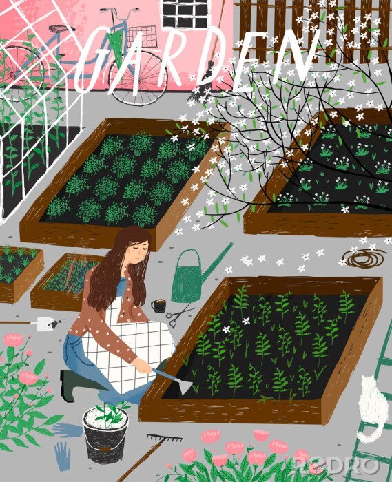 Poster Frau pflegt Pflanzenrabatten
