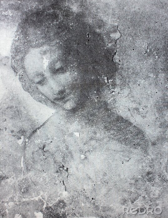 Poster Frauenporträt von Leonardo da Vinci